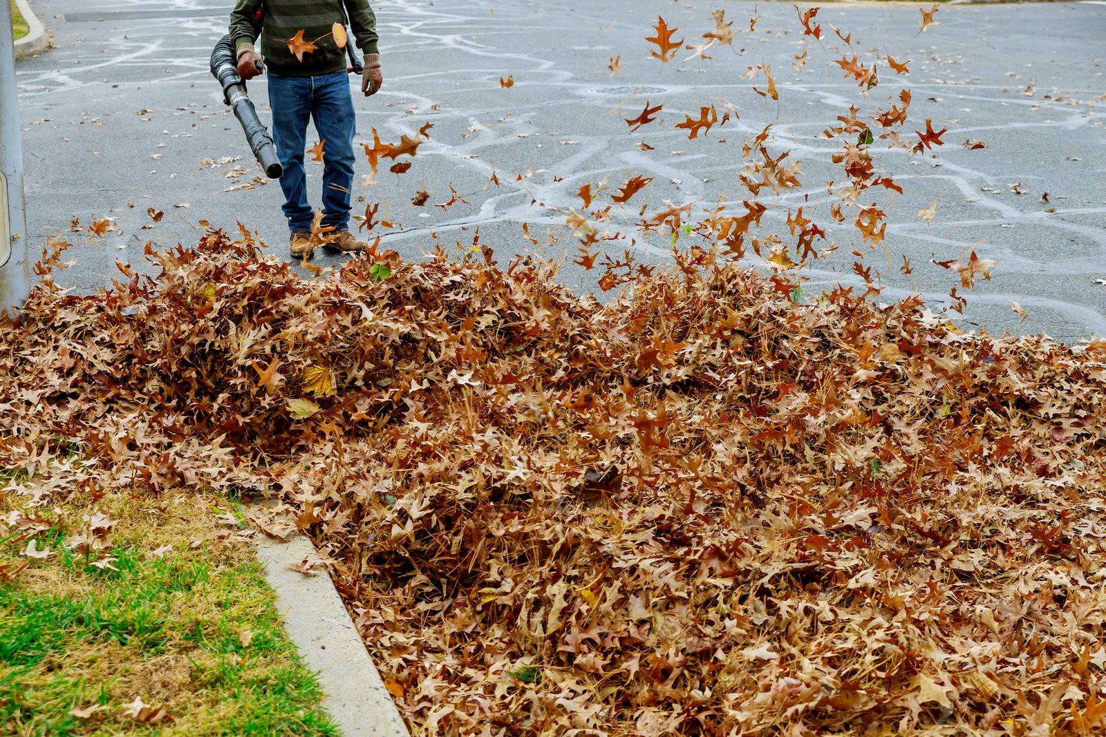 fallen leaves near houses are being cleaned by a municipal worker in the autumn