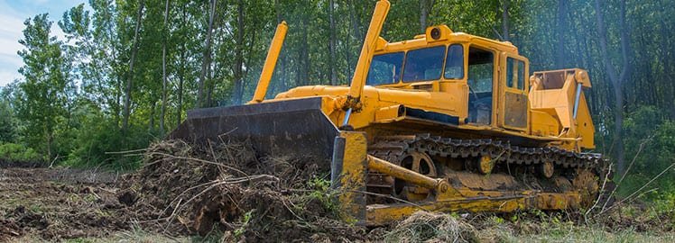 importance reasons for land clearing 1