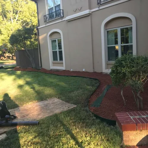 Romero Tree Service (16)