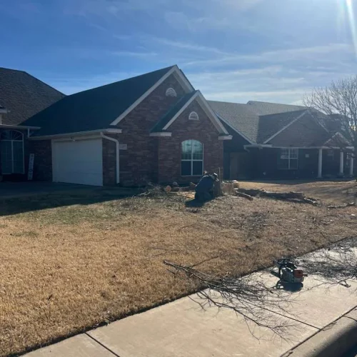 Romero Tree Service (4)